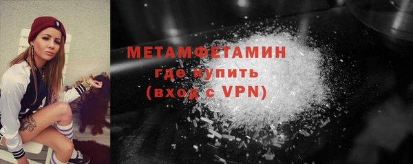 индика Осинники