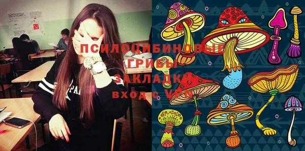 прущая мука Осташков