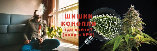 индика Осинники