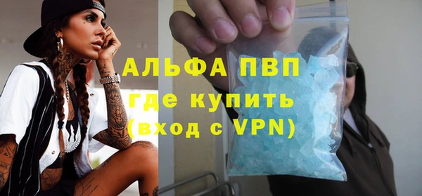 индика Осинники