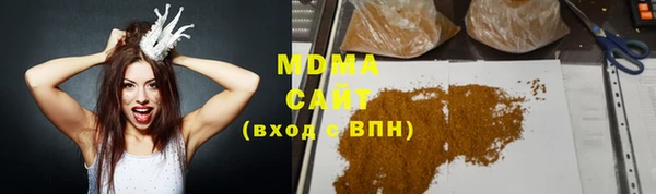 индика Осинники