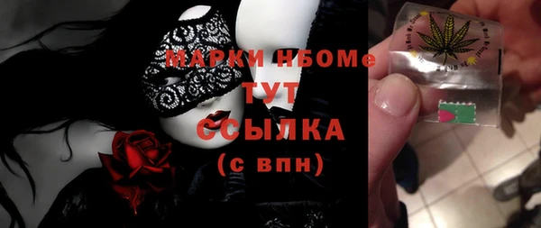 индика Осинники