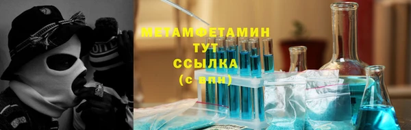 индика Осинники