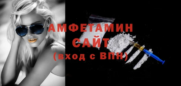 индика Осинники