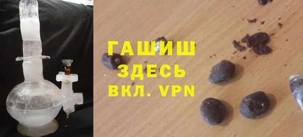 индика Осинники