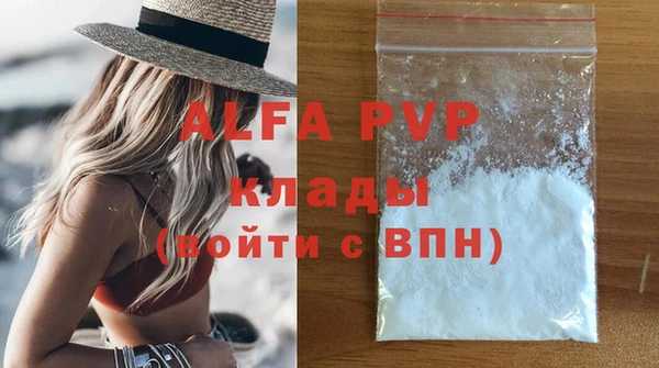 индика Осинники