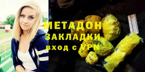 индика Осинники
