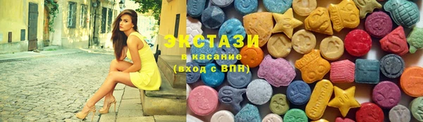 индика Осинники