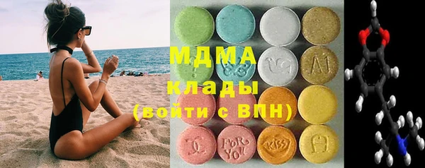 индика Осинники