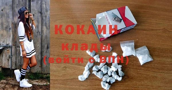 индика Осинники